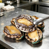 Fresh Whole Abalone Seafood Delicacy