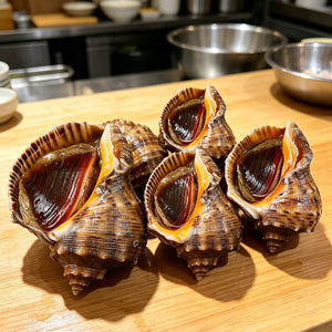 Fresh Gourmet Whole Sea Snails